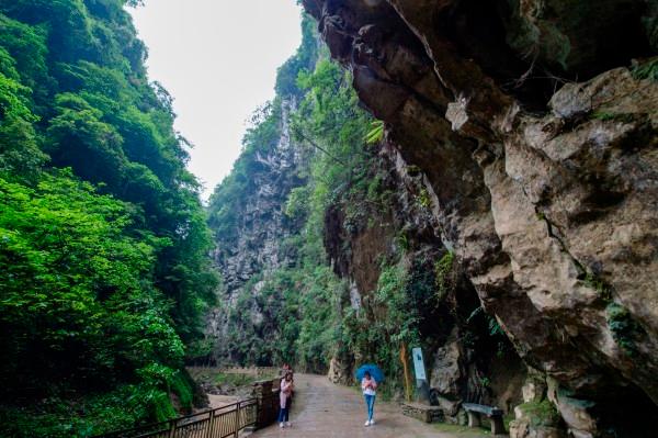 笑脸球的冒险之旅